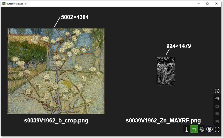 Screenshot of the Butterfly Viewer showing the sample color photograph next to the original zinc element map to scale.