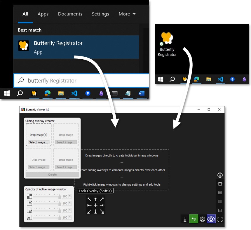 Sequence of screenshots showing a Start menu search for "Butterfly Registrator" with the installed app as the first result and the app's desktop shortcut, with arrows from both pointing at the Registrator's empty startup screen.