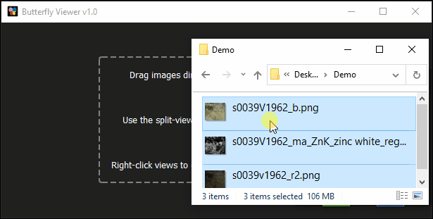 Animated screencapture of the Butterfly Viewer showing image files loaded via drag-and-drop and then synchronously panned and zoomed.