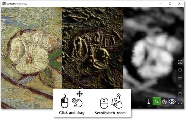 Screenshot showing the Viewer with three synchronous views zoomed to a blossom in the sample image.