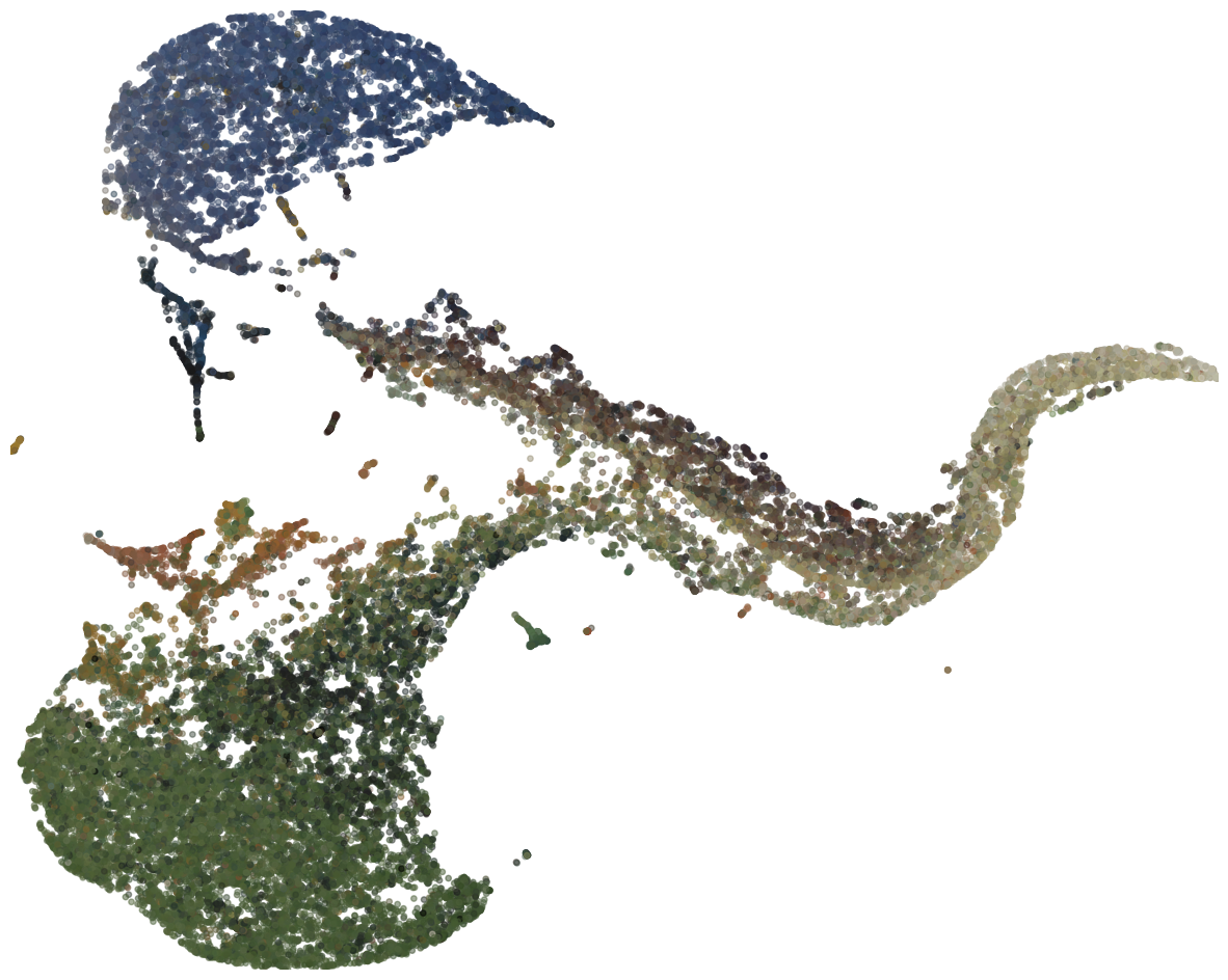 _images/embedding.png